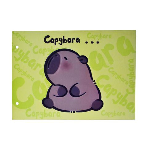 CARPETA Nº5 DOS TAPAS CON CORDON CARTONE